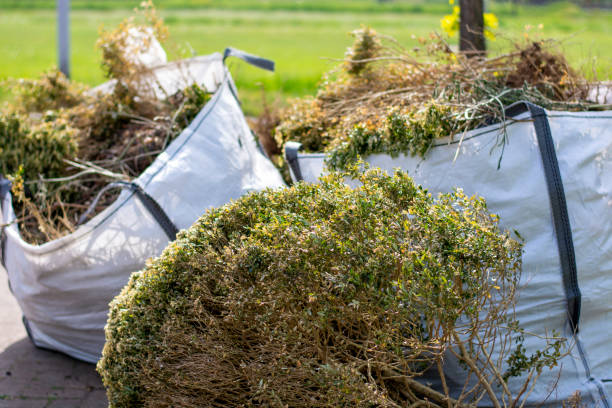 Best Furniture Removal Near Me  in Hughestown, PA